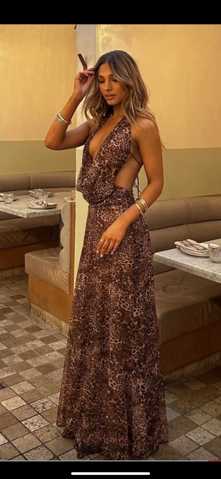 Kimber Leopard V-Neck Dress