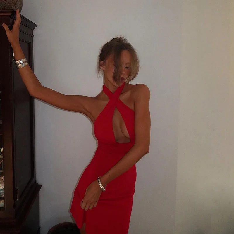 Kelly Turtle-Neck Dress